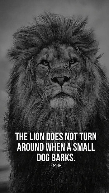 Motivational Quotes, Inspiration Quotes HD phone wallpaper