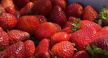 Food, Strawberry, Berries, Sweet, Ripe HD wallpaper