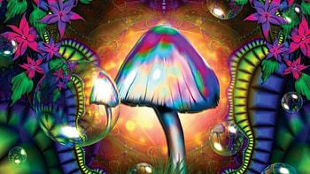 (1000+) Trippy & Psychedelic Backgrounds 2017 HD wallpaper