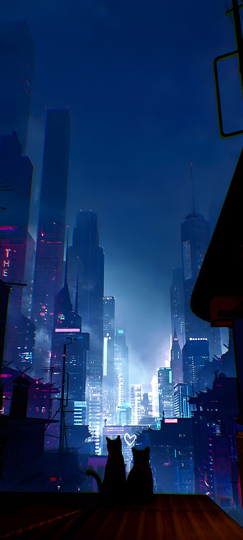 Cats Love Night, neon, city, night, cat HD phone wallpaper