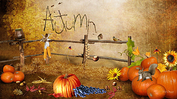 Squirrel Tag - Corn Autumn Flowers Nuts Persona Bird Leaves Firefox Fall Grapes Happenings Chestnuts Squirrel HD wallpaper