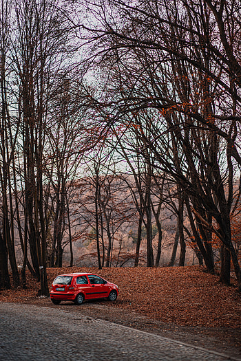 Nature, Autumn, Cars, Car HD phone wallpaper