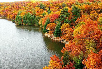 Beautiful Autumn, river, yellow, green, autumn, forests HD wallpaper