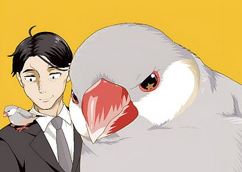 Anime, Sasaki and Peeps HD wallpaper