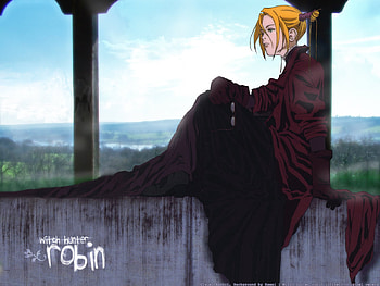 Robin Sena, fire, kind, nice, powerful HD wallpaper
