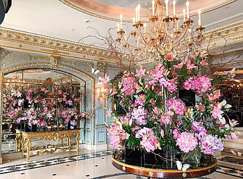 Hotels in Geneva, Hotel, Switzerland, flowers, Geneve HD wallpaper
