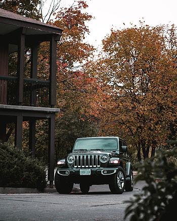 Cars, Car, Suv, Jeep, Front View, Jeep Wrangler HD phone wallpaper