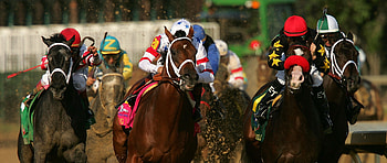 Derby , Michelle Tremblay HD wallpaper