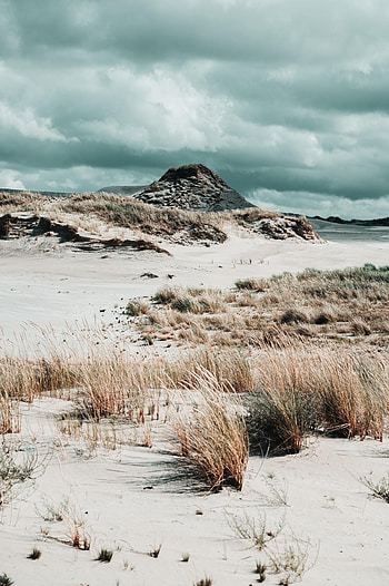 Nature, Grass, Sand, Rock, Coast, Hill HD phone wallpaper