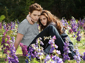 Twilight saga, reconciling ending, resolution HD wallpaper