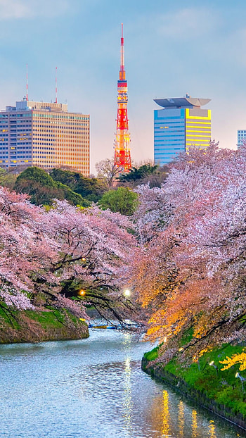 Japan Skyline, Travels, Meaningful Japan , Scenic beauty HD phone wallpaper