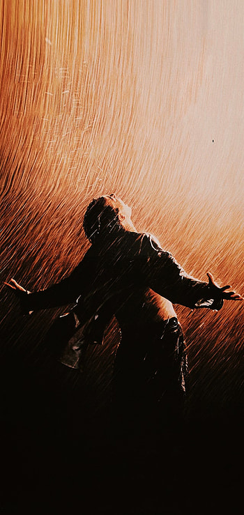 Shawshank redemption, Tim_Robbins, 1994, Shawshank_redemption, Morgan_man, Um_sonho_de_liberdade HD phone wallpaper