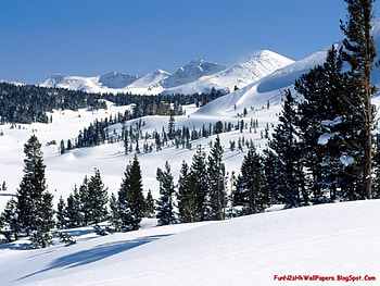 winter landscapes, landscape, winter HD wallpaper