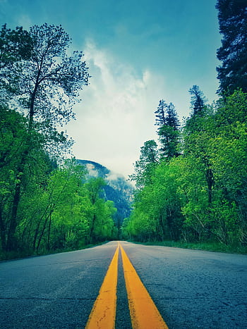 A serene road flanked by lush green trees and mountain views in summer. HD phone wallpaper
