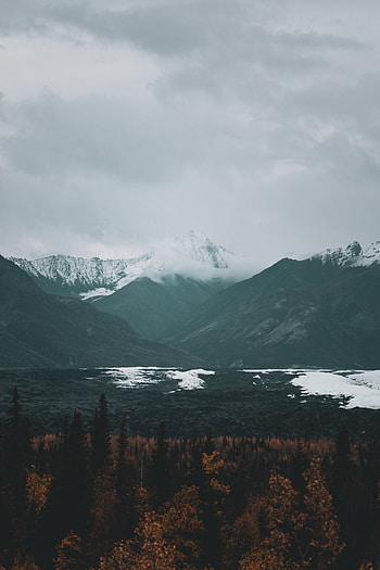 Nature, Mountains, Clouds, Vertex, Forest, Fog, Tops HD phone wallpaper
