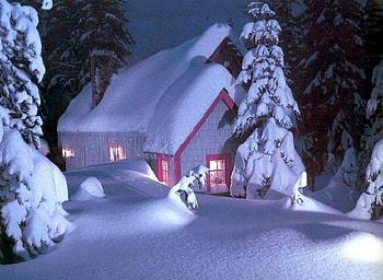 Lets Cuddle and keep Warm, pretty, light, icicles, snow, house, trees, home, welcoming HD wallpaper