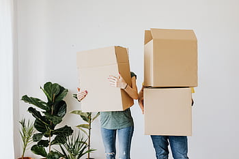 A couple carrying cardboard boxes in their new home surrounded by plants. HD wallpaper