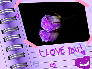 I LOVE YOU, purple, , roses, love HD wallpaper