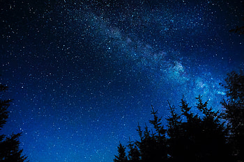 Trees, Stars, Night, Dark, Shine, Starry Sky, Brilliance HD wallpaper