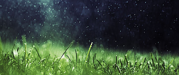 ultra wide, graphy, Depth of field, Grass, Nature / and Mobile Backgrounds HD wallpaper