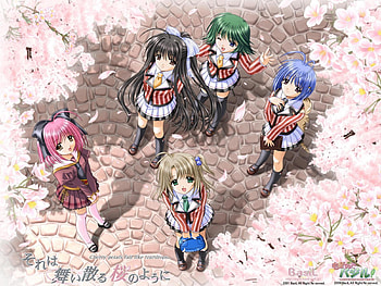 School Friends, anime, cheery blossoms, sakura, school uniform, school girl HD wallpaper