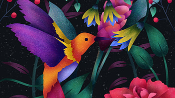 Hummingbird Digital, Hummingbird, fun, 3d, abstract, cool, Digital HD wallpaper