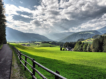 way to the village, way, road, tree, village HD wallpaper