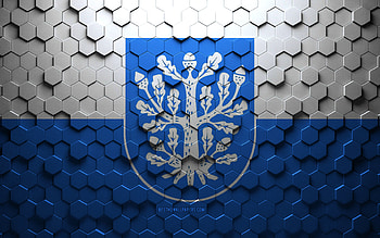 Flag of Offenbach am Main, honeycomb art, Offenbach am Main hexagons flag, Offenbach am Main, 3d hexagons art, Offenbach am Main flag HD wallpaper