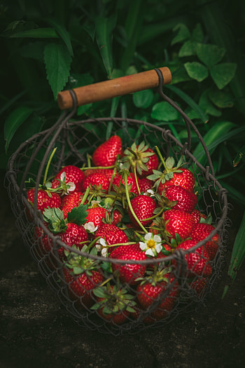 Food, Strawberry, Berries, Basket, Ripe, Fresh HD phone wallpaper