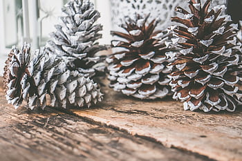 Close-up of painted pine cones on a rustic wooden table, perfect for Christmas decoration ideas. HD wallpaper