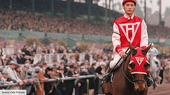 Seabiscuit, Star passes away, The digital fix HD wallpaper
