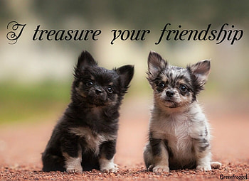 TREASURE FRIENDSHIP, FRIENDSHIP, TREASURE, COMMENT, CARD HD wallpaper
