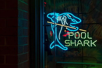 Words, Neon, Inscription, Shark HD wallpaper