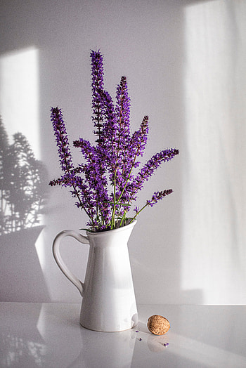Flowers, Bouquet, Vase, Lavender, Nut HD phone wallpaper