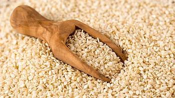 Sesame Seeds, Home, Atlasagrobr HD wallpaper