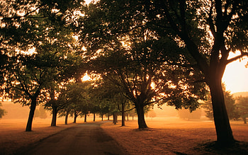 Landscape, Sunset, Roads HD wallpaper