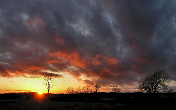 Nature, Sunset, Sky, Clouds, Wood, Tree, Outlines, Heavy HD wallpaper