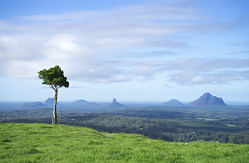 Nature, Grass, Rocks, Wood, Tree, Hills HD wallpaper