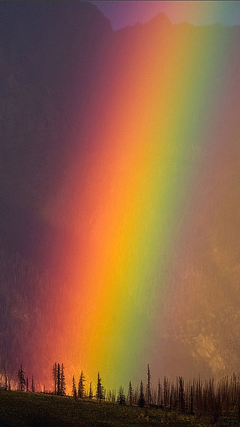 Rainbow, Nature Beautiful Rainbow HD phone wallpaper