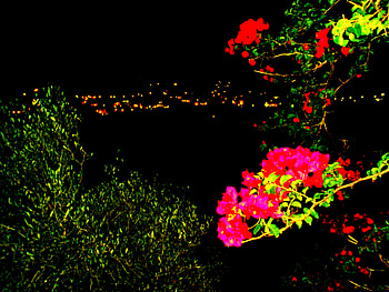 graph like a painting, nature, graph, painting, flower HD wallpaper