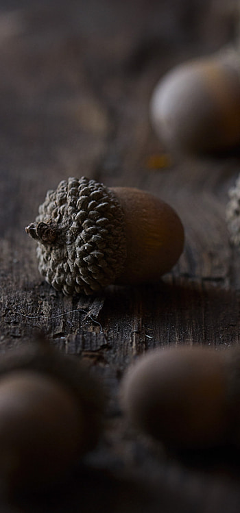 Wooden table decor, Close-up view, Macro graphy, Honor View 20 HD phone wallpaper