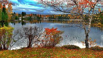 Autumn Shore, Cloud, Lake, Reflection, Tree, Foliage HD wallpaper