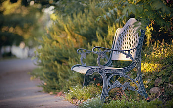 Chair, bench, nature, park HD wallpaper