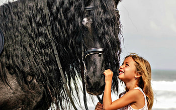 Friends, animal, horse, black, cute, adorable, girl, child, little HD wallpaper