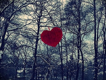Love-Expressing-graphy, cool, expressing, graphy, love HD wallpaper