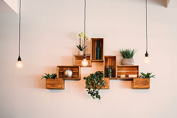 Contemporary wooden shelves with plants and decor, illuminated by hanging lights. HD wallpaper