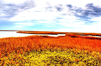 winding bay inlet in autumn, colors, autumn, sky, grass, inlet HD wallpaper