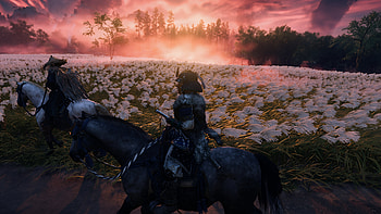 Ghost of Tsushima, Ghost of Tsushima HD wallpaper