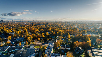 City, apartment, tree, sky, aerial view HD wallpaper