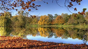 river in autumn, river, shore, leaves, reflection, trees, autumn HD wallpaper